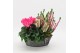Arrangementen tuinplanten HBCR-2527 Herfst buiten creatie 2 pp 