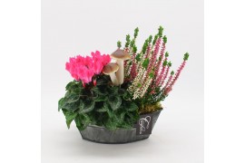 Arrangementen tuinplanten HBCR-2527 Herfst buiten creatie 2 pp