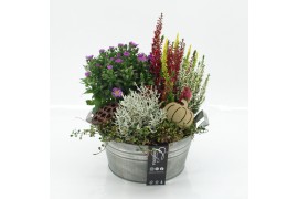 Arrangementen tuinplanten HBCR-2528 Herfst buiten creatie 3 pp