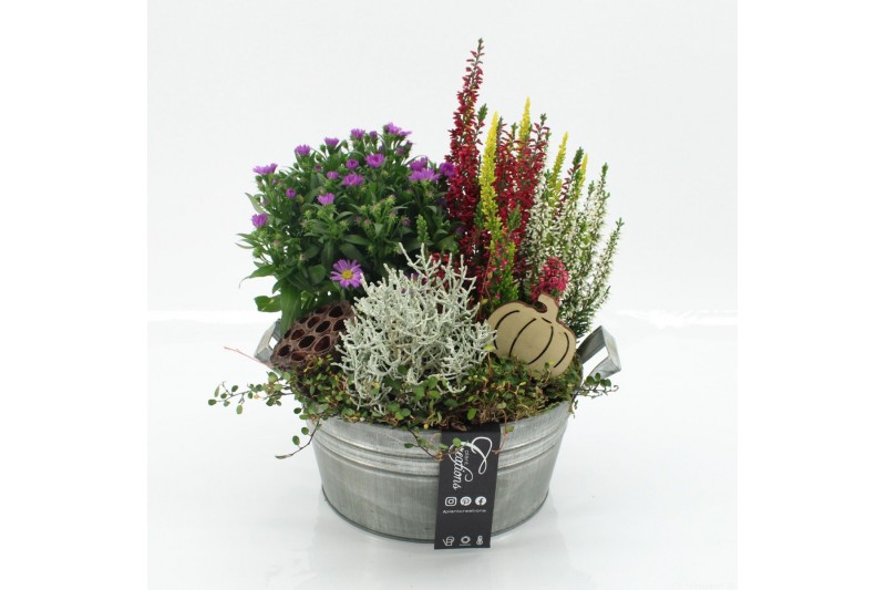 Arrangementen tuinplanten HBCR-2528 Herfst buiten creatie 3 pp Arrangementen tuinplanten HBCR-2528 Herfst buiten creatie 3 pp
