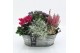 Arrangementen tuinplanten HBCR-2529 Herfst buiten creatie 4 pp 