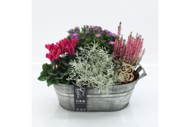 Arrangementen tuinplanten HBCR-2529 Herfst buiten creatie 4 pp