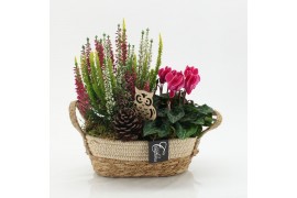 Arrangementen tuinplanten HBCR-2521 Herfst buiten creatie2 pp