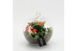 Arrangementen kamerplanten HECR-2534 Autumn Essentials terrarium2 pp