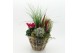 Arrangementen tuinplanten HBCR-2519 Herfst buiten creatie4 pp 