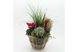 Arrangementen tuinplanten HBCR-2519 Herfst buiten creatie4 pp