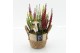 Arrangementen tuinplanten HBCR-2520 Herfst buiten creatie1 pp 