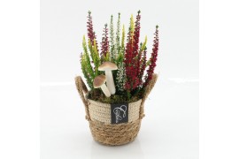 Arrangementen tuinplanten HBCR-2520 Herfst buiten creatie1 pp