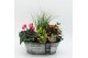 Arrangementen tuinplanten HBCR-2514 Herfst buiten creatie4 pp 