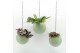 Arrangementen kamerplanten Globee Indoor Color Mix 108 1 pp 