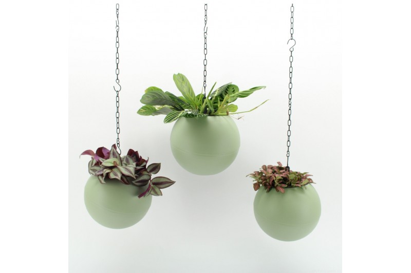 Arrangementen kamerplanten Globee Indoor Color Mix 108 1 pp Arrangementen kamerplanten Globee Indoor Color Mix 108 1 pp