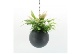 Arrangementen kamerplanten Globee Indoor Adiantum 118 1 pp