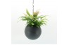 Arrangementen kamerplanten Globee Indoor Adiantum 118 1 pp