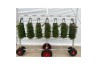 Chrysant garden mums mix Wandhanger Chrysanthemum Mixlaag