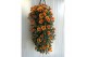 Chrysant garden mums mix Wandhanger Chrysanthemum Mixlaag 