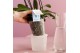 Phalaenopsis multiflora wit Kolibri Orchids Phalaenopsis Mono Bouquet  