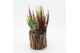 Arrangementen tuinplanten HBCR-2515 Herfst buiten creatie1 pp 