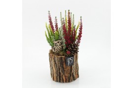 Arrangementen tuinplanten HBCR-2515 Herfst buiten creatie1 pp