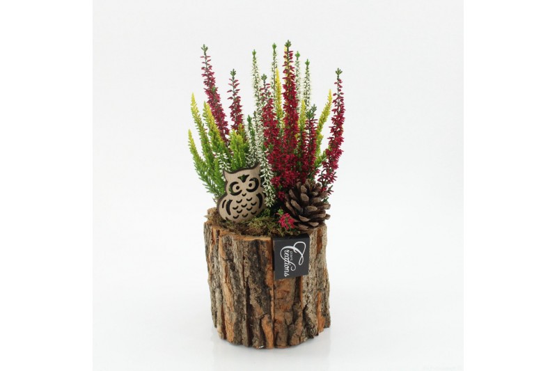 Arrangementen tuinplanten HBCR-2515 Herfst buiten creatie1 pp 