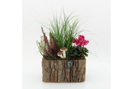 Arrangementen tuinplanten HBCR-2516 Herfst buiten creatie3 pp