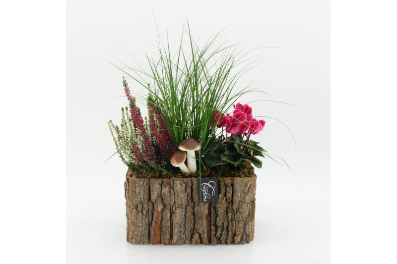 Arrangementen tuinplanten HBCR-2516 Herfst buiten creatie3 pp 