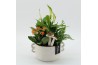 Arrangementen kamerplanten HECR-2512 Autumn Essentials3 pp