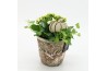 Arrangementen kamerplanten HECR-2519 Autumn Essentials2 pp
