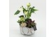 Arrangementen anthurium HECR-2526 Autumn Essentials3 pp 