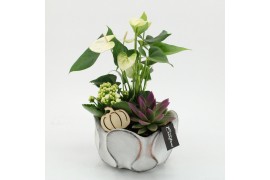 Arrangementen anthurium HECR-2526 Autumn Essentials3 pp