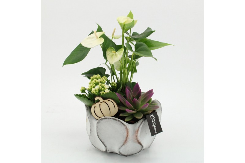Arrangementen anthurium HECR-2526 Autumn Essentials3 pp 