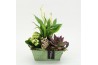Arrangementen kamerplanten HECR-2545 Autumn Essentials3 pp