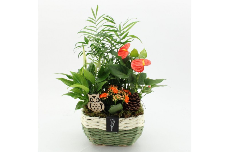 Arrangementen anthurium HECR-2550 Autumn Essentials4 pp 