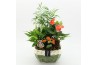 Arrangementen anthurium HECR-2550 Autumn Essentials4 pp