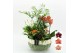 Phalaenopsis HECR-2551 Autumn Essentials5 pp 