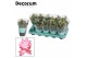 Schlumbergera roze decorum met hoes 