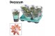 Schlumbergera oranje decorum met hoes 