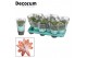 Schlumbergera oranje decorum met hoes 