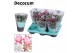 Schlumbergera mix decorum in hoes 