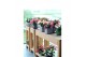 Schlumbergera mix decorum in hoes 