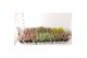 Calluna vulg. beauty ladies mix Beauty-Ladies mixlaag -12cm Diameter 