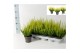 Calluna vulg. beauty ladies mix Geel - 20cm Diameter 