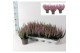 Calluna vulg. beauty ladies mix Lila - 20cm Diameter 