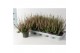 Calluna vulg. beauty ladies mix Roze - 20cm Diameter 