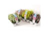 Calluna vulg. beauty ladies mix Sixpack - 10cm Diameter