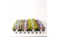 Calluna vulg. beauty ladies mix Sixpack - 10cm Diameter 