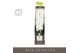 Phalaenopsis wit Formidablo - Yosemite Falls - 1 tak, 15+ bloem - Moli 