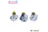 Hippeastrum gewaxt No Water Flowers Waxz Delfts Blauw