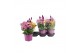 Arrangementen tuinplanten Abbracci Maria P19 5 pp 10 bl. 