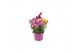 Arrangementen tuinplanten Abbracci Maria P19 5 pp 10 bl. 