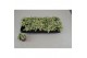 Hypoestes phyllostachya 